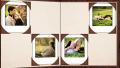 Photo album on a table