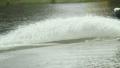 video clip 31821639
