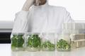 Scientist With Jars Containing Plant Material