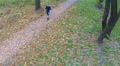 The man walks on autumn park. Aerial view Video