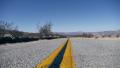 Desert Road Dolly