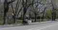video clip 32360479