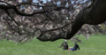 video clip 32361285