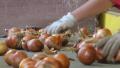 Sorting onion in warehouse