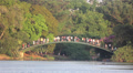 Ibirapuera - Park of sao paulo city