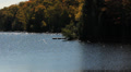 Cottage country shoreline.