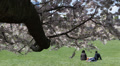 video clip 32505595