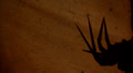 Horror Claws5