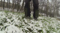 video clip 33212345