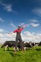 happy farmer in field with cows
