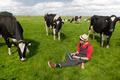 young farmer with laptop in field with cows
