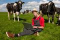 young farmer with laptop in field with cows