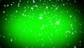 Snowflakes L Green LM09 Loop Animation Background Video