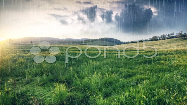 After Effects Project - Pond5 Rain Pack & Bonus 33661627 After Effects Project - Pond5 Rain Pack & Bonus 33661627