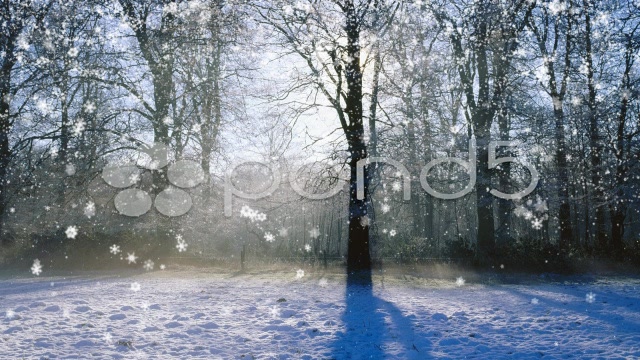 After Effects Project - Pond5 Snow Pack & Bonus 33662081 After Effects Project - Pond5 Snow Pack & Bonus 33662081