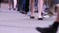 video clip 33795981
