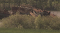 abandoned ship in chernobyl alienation zone