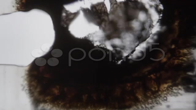 After Effects Project - Pond5 Make your footage burn away on film 35327467 After Effects Project - Pond5 Make your footage burn away on film 35327467