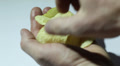 Man's hands with chips Video