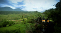 Bali paddy fields Video