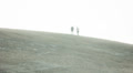 video clip 36256117