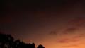 4K Timelapse Sunset 29 Tilt Up Clouds Forest Video