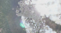 video clip 36769133