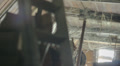 video clip 37121811