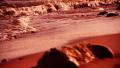 video clip 37165097
