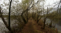 Small path between ponds in Nature Reserve Viehmoor Video