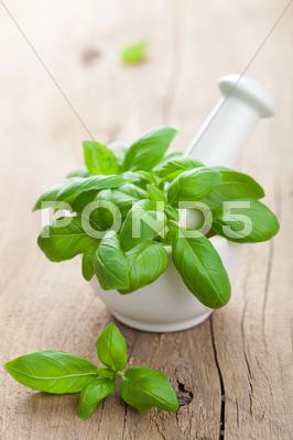 Stock photo of basil in mortar
