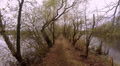 Small path between ponds in Nature Reserve Viehmoor Video