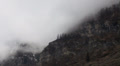 Thick Clouds and Fog at alpine Mountain Forest Video