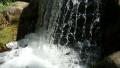 video clip 37747565