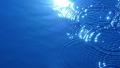 Water Drops 04 Ripples on water surface Video