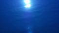 Water Surface 12 Sunlight Reflections Video