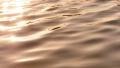 video clip 37832621