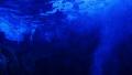video clip 38327347