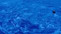 Water Drops 20 Crown Ripples on water surface Video