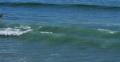 4K Ocean Waves 12 Venice Beach California Video