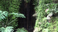Tropical jungle view with little waterfall Video