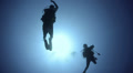 Silhouette of two scuba divers, couple - underwater view 29.97fps Video