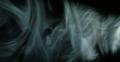 video clip 38924133