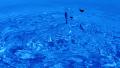 video clip 38927031