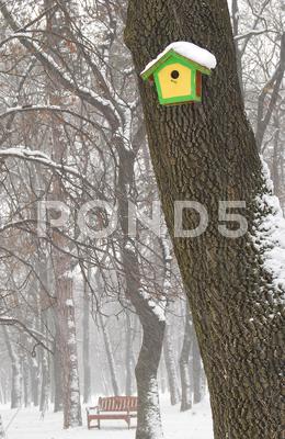 Stock photo of Birdhouse and bench in winter