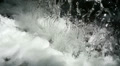 video clip 38987759