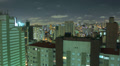 Aerial night illuminated cityscape. Sao Paulo, Brazil Timelapse Video