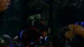 video clip 39423243