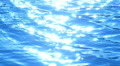 video clip 39446711