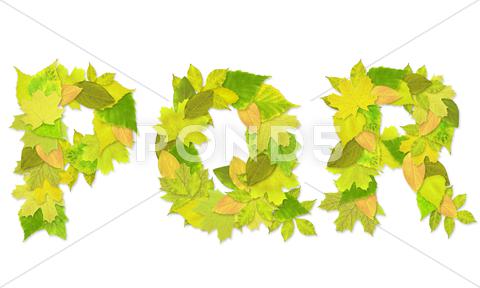 Stock Illustration of Alphabet - letters with a green leaves